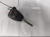 Miniaturka zdjęcia 11
