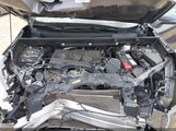Miniaturka zdjęcia 10