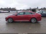 Hyundai Sonata Sport 5NPE34AF0GH343122 photo
