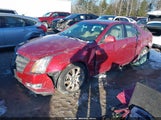 Cadillac Cts Standard 1G6DT57V490155495 снимка