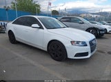 Audi A4 2.0T Premium WAUAFAFL6BN038717 снимка