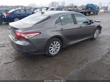 Toyota Camry Le 4T1B11HK7KU685607 photo