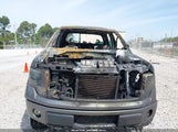 Ford F-150 Fx4 1FTFW1EF8EKF01869 снимка
