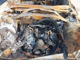 Ford Mustang Gt 1FA6P8CF2L5135448 снимка