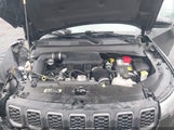 Jeep Compass Trailhawk 4X4 3C4NJDDN5RT137063 снимка
