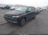 Jeep Compass Trailhawk 4X4 3C4NJDDN5RT137063 снимка