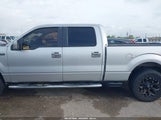 Ford F-150 Xlt 1FTFW1EF7DKD41126 снимка