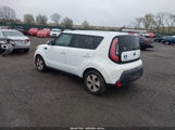 Miniaturka zdjęcia 3