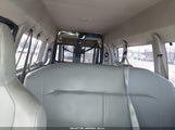 Miniaturka zdjęcia 8