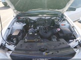 Ford Mustang V6 1ZVFT80N565160153 снимка
