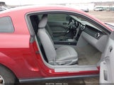 Ford Mustang V6 Deluxe/V6 Premium 1ZVFT80N155251774 fotografie