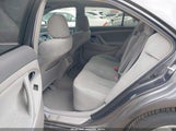 Miniaturka zdjęcia 8