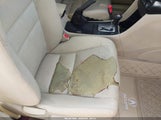 Acura Tsx JH4CL96824C034319 снимка