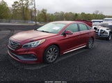 Hyundai Sonata Sport 5NPE34AF8FH235670 photo