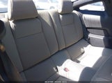Miniaturka zdjęcia 8