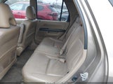Miniaturka zdjęcia 8