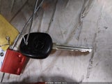 Miniaturka zdjęcia 11