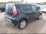 Miniaturka zdjęcia 4