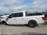Ford F-150 King Ranch/Lariat/Limited/Platinum/Xl/Xlt 1FTEW1CGXHKC55614 photo