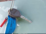 Miniaturka zdjęcia 11