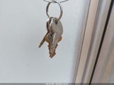 Miniaturka zdjęcia 11