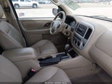 Ford Escape Limited 1FMCU94137KB59789 снимка