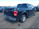 Ford F-150 Xlt 1FTEW1EG5HFC21375 снимка