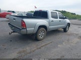 Toyota Tacoma Base V6 3TMLU42N97M008915 снимка