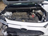 Toyota Rav4 Xle 2T3W1RFV3NW193598 fotografie