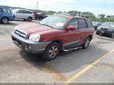 Hyundai Santa Fe Gls/Lx KM8SC13E45U863117 photo