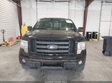 Ford F-150 Fx4/Harley-Davidson/King Ranch/Lariat/Platinum/Xl/Xlt 1FTFW1EV2AFC10438 fotografie