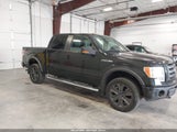 Ford F-150 Fx4/Harley-Davidson/King Ranch/Lariat/Platinum/Xl/Xlt 1FTFW1EV2AFC10438 fotografie