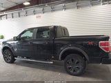 Ford F-150 Fx4/Harley-Davidson/King Ranch/Lariat/Platinum/Xl/Xlt 1FTFW1EV2AFC10438 fotografie