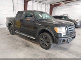 Ford F-150 Fx4/Harley-Davidson/King Ranch/Lariat/Platinum/Xl/Xlt 1FTFW1EV2AFC10438 fotografie