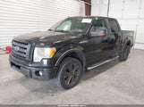 Ford F-150 Fx4/Harley-Davidson/King Ranch/Lariat/Platinum/Xl/Xlt 1FTFW1EV2AFC10438 снимка