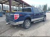 Ford F-150 Fx4/Harley-Davidson/King Ranch/Lariat/Platinum/Xl/Xlt 1FTFW1EV7AFC13612 fotografie