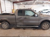 Ford F-150 Xlt 1FTEX1EM7DFB70443 fotografie