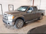 Ford F-150 Xlt 1FTEX1EM7DFB70443 fotografie