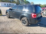 Ford Escape Xlt 1FMCU0DGXAKD37088 снимка