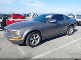 Ford Mustang V6 Deluxe/V6 Premium 1ZVFT80N175250269 снимка