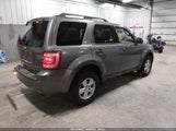 Ford Escape Xlt 1FMCU0D76AKB61186 снимка