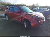 Miniaturka zdjęcia 1