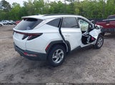 Hyundai Tucson Sel 5NMJBCAEXNH145046 снимка