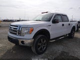Ford F-150 Xlt 1FTFW1EF5BFD18210 снимка