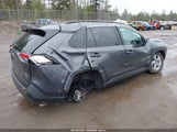 Toyota Rav4 Xle 2T3P1RFV0RW446984 снимка