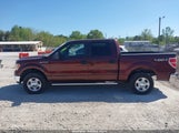 Ford F-150 1FTFW1EVXAKC00294 снимка