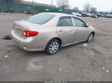 Toyota Corolla Le 2T1BU4EE6AC219528 fotografie