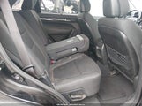 Miniaturka zdjęcia 8