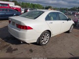 Acura Tsx JH4CL96966C025568 снимка