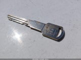 Miniaturka zdjęcia 11